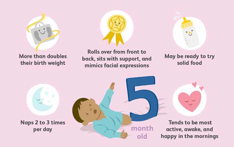 Behaviors you might view in 5-month-olds