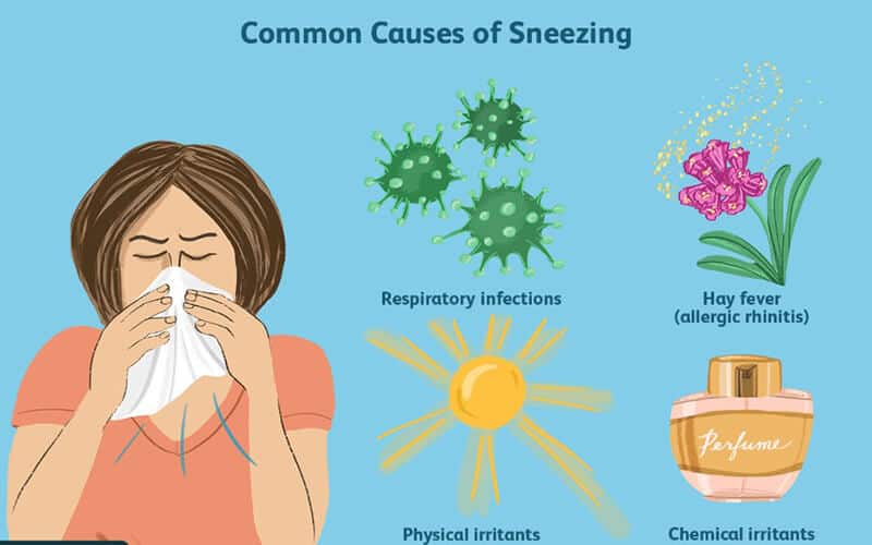 Can You Sneeze In Your Sleep The Best Surprise Answer Olly Sleep