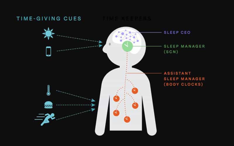 Detecting sleep cues