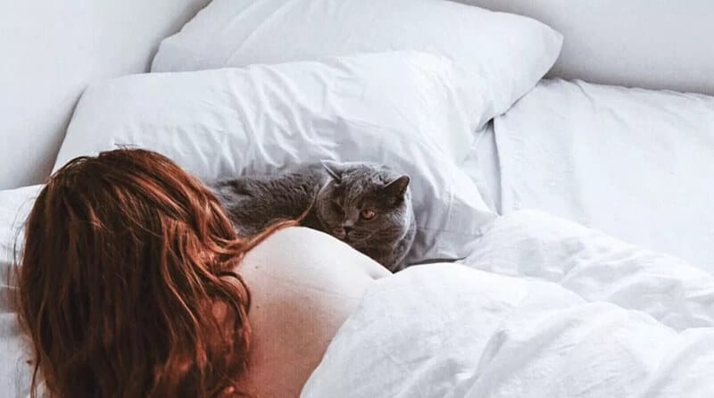 How cats may affect your sleep