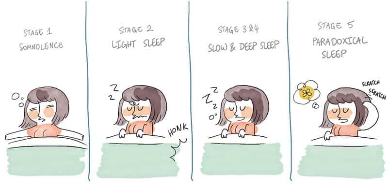 deep vs light vs rem sleep